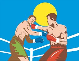 Клуб бокса "Вектор"