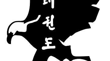 Black Eagle Taekwon-Do Sankt-Petersburg (Озерки)