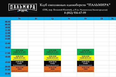 Клуб смешанных единоборств "Пальмира" (Пушкинская) - фото, расписание, стоимость, отзывы - 1