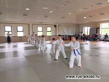 Федерация Ёсинкан Айкидо Рю (м. ул. Горчакова ) - фото, расписание, стоимость, отзывы - 1