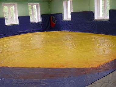 ГБУ «Спортивная школа № 103 «Южное Тушино» Москомспорта - фото, расписание, стоимость, отзывы - 2