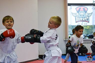 Школа тхэквондо "Грифон" (Комендантский проспект) - фото, расписание, стоимость, отзывы - 1