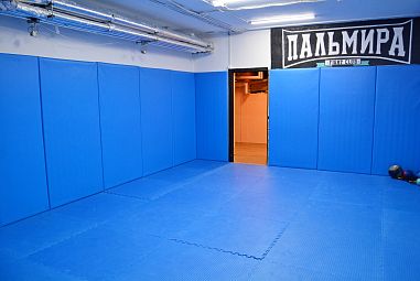 Клуб смешанных единоборств "Пальмира" (Удельная) - фото, расписание, стоимость, отзывы - 3