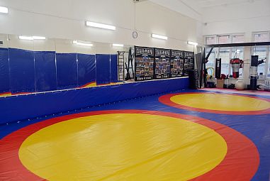 Клуб смешанных единоборств "Пальмира" (Площадь Мужества) - фото, расписание, стоимость, отзывы - 2