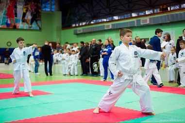 Центр единоборств "Чемпион" (пр-т Непокорённых) - фото, расписание, стоимость, отзывы - 2