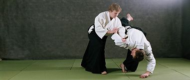 Центр Айкидо Айкикай «Койнобори Додзё» (Багратионовская) - фото, расписание, стоимость, отзывы - 5