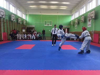 Black Eagle Taekwon-Do Sankt-Petersburg (Озерки) - фото, расписание, стоимость, отзывы - 2