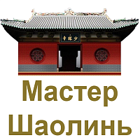 Мастер Шаолинь