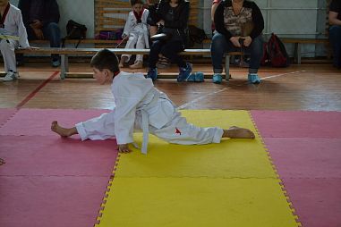 "Таеквондо2000" (Школа Экономики и Права) - фото, расписание, стоимость, отзывы - 5