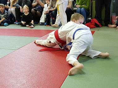 Детский спортивный клуб дзюдо и самбо "Север" - фото, расписание, стоимость, отзывы - 5