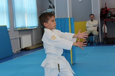 Федерация Универсальных боевых искусств (Лесной проспект) - фото, расписание, стоимость, отзывы - 3