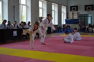 "Таеквондо2000" (Школа №509) - фото, расписание, стоимость, отзывы - 2