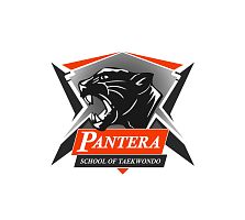 Центр развития "Пантера" (Академическая)